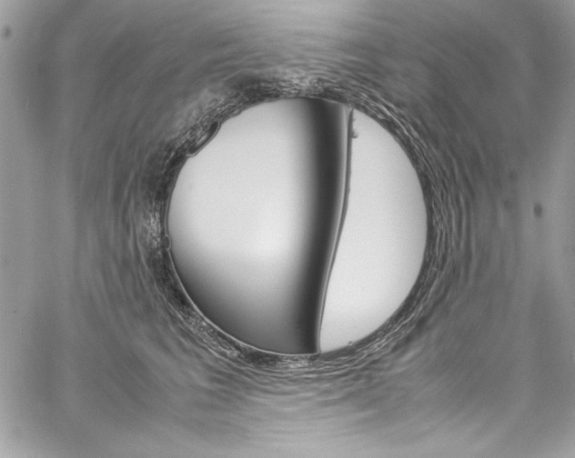 X0000060250613200510280940