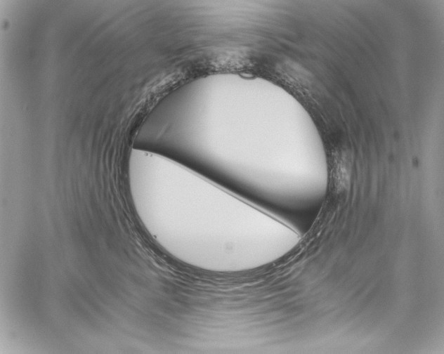 X0000060250619200510280940