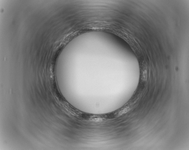 X0000060250620200510280940