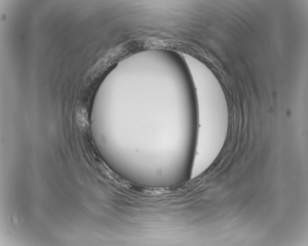 X0000060250621200510280940