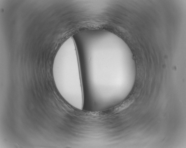 X0000060250624200510280940