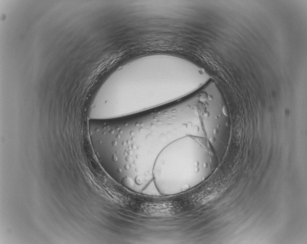 X0000060250639200510280939