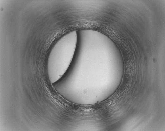X0000060250642200510280939