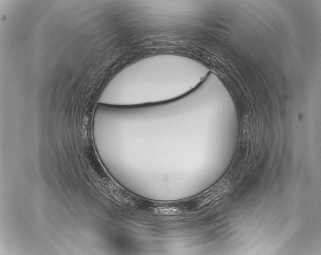 X0000060250650200510280939