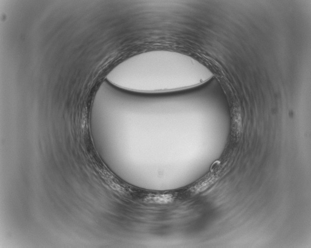X0000060250665200510280940