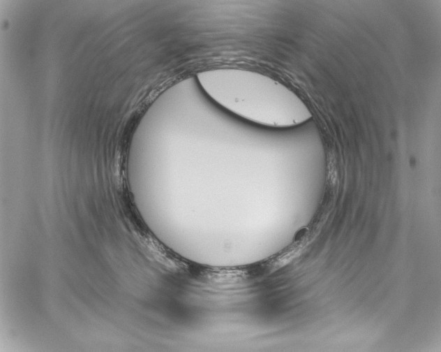 X0000060250670200510280940