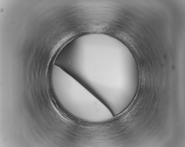 X0000060250674200510280939