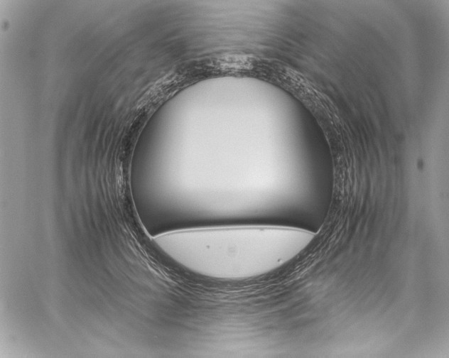 X0000060250704200510280938