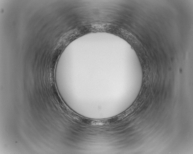 X0000060250706200510280938