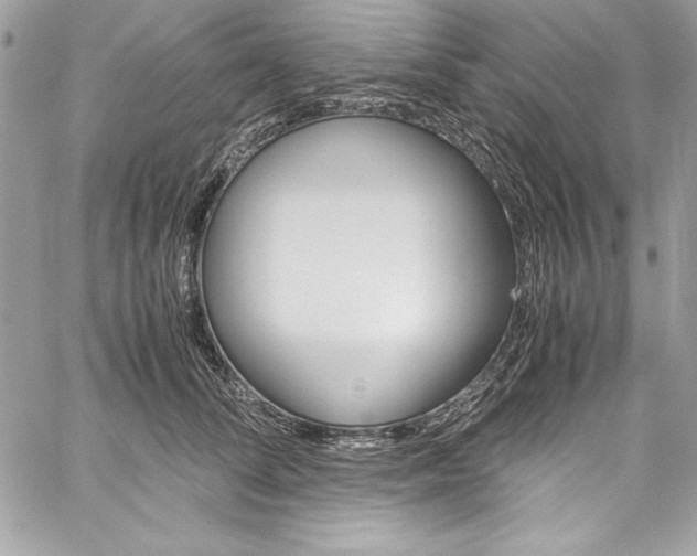 X0000060250708200510280938
