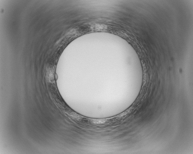 X0000060250709200510280938