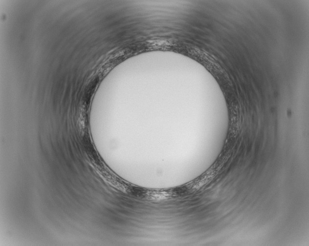 X0000060250710200510280938