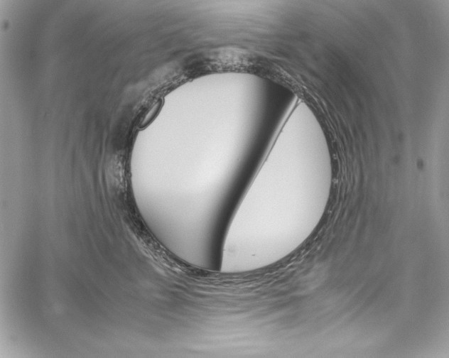 X0000060250715200510280938