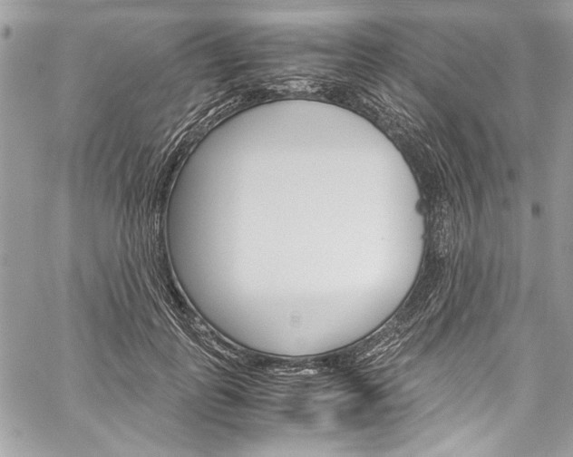 X0000060250747200510280938