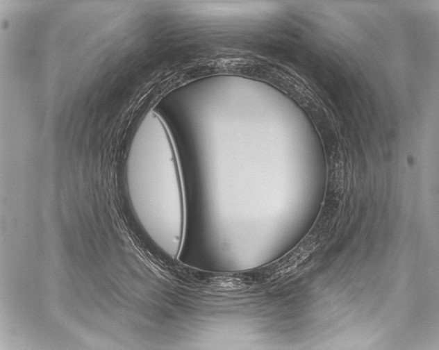 X0000060250750200510280938