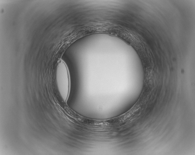 X0000060250752200510280938