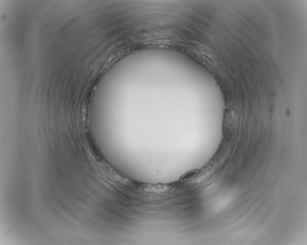 X0000060250767200510280938