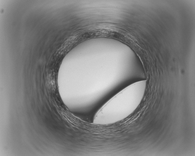 X0000060250771200510280937