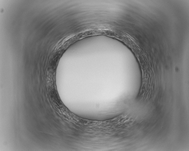 X0000060250773200510280937