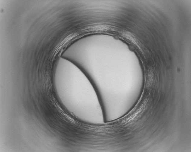 X0000060250778200510280937