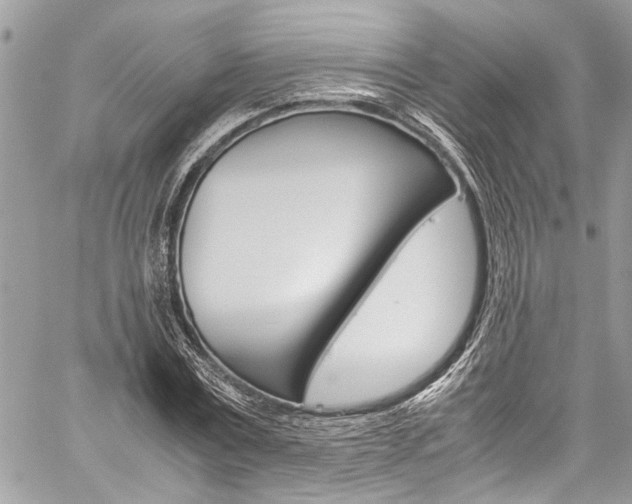 X0000060250779200510280937