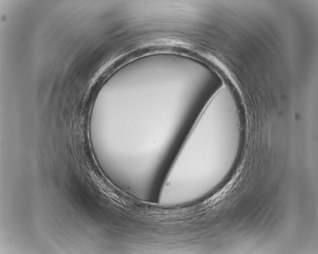 X0000060250783200510280937
