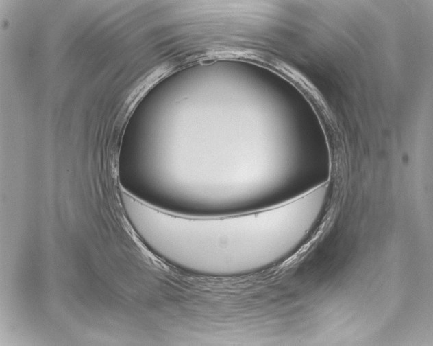 X0000060250809200510280937