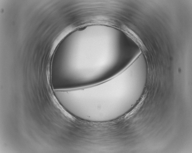 X0000060250812200510280937