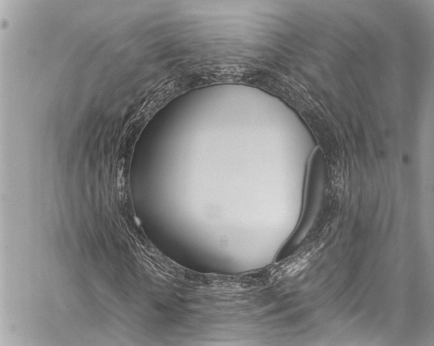 X0000060250818200510280936