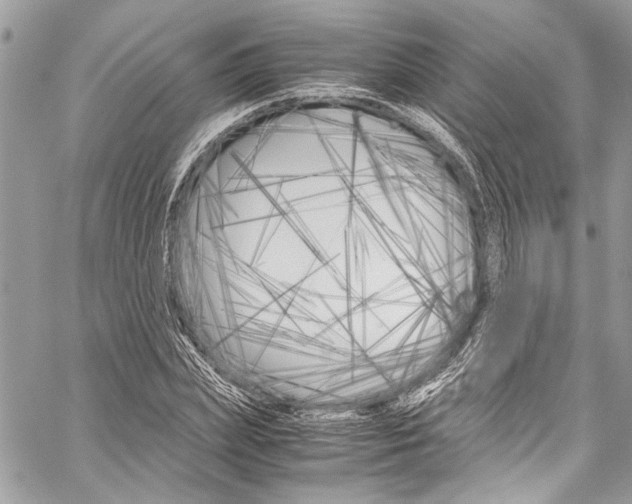 X0000060250831200510280936
