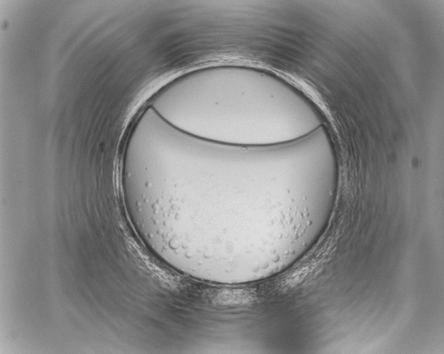 X0000060250839200510280936
