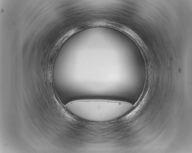 X0000060250857200510280936