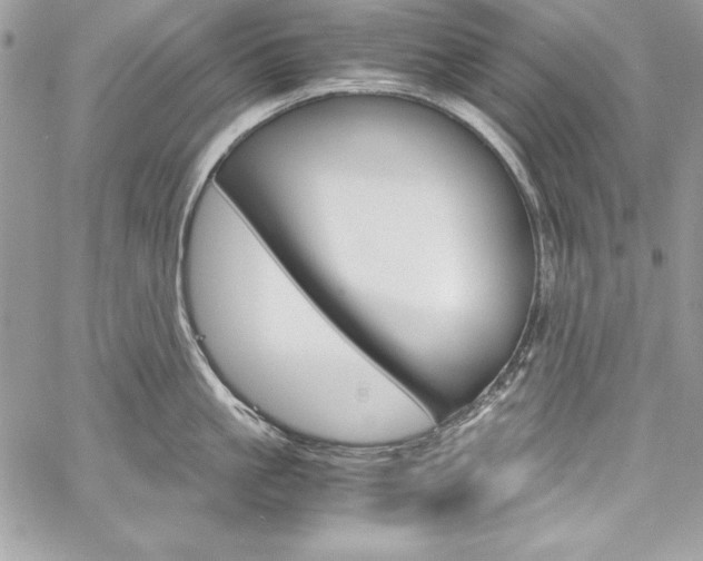 X0000060250861200510280936