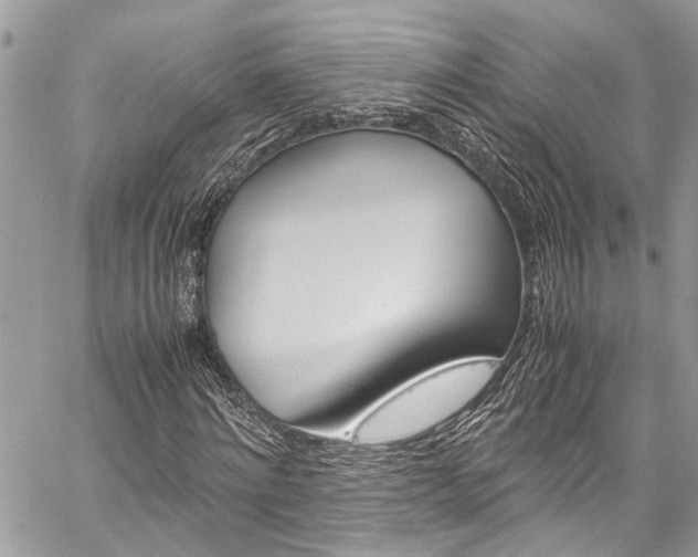 X0000060250868200510280936