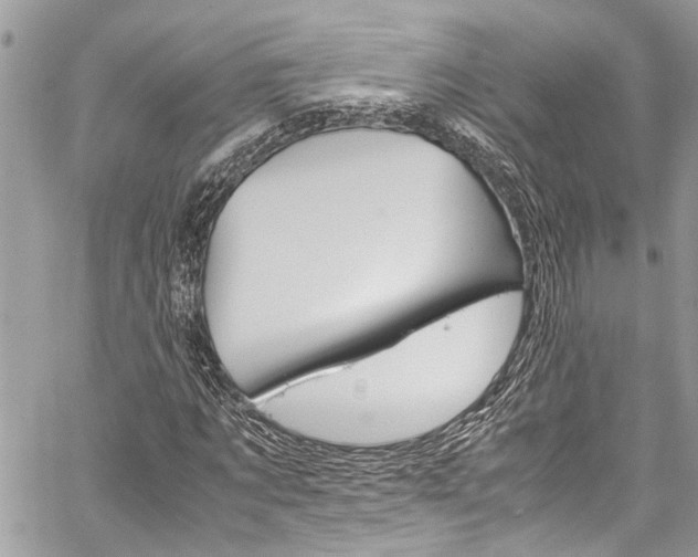 X0000060250869200510280936