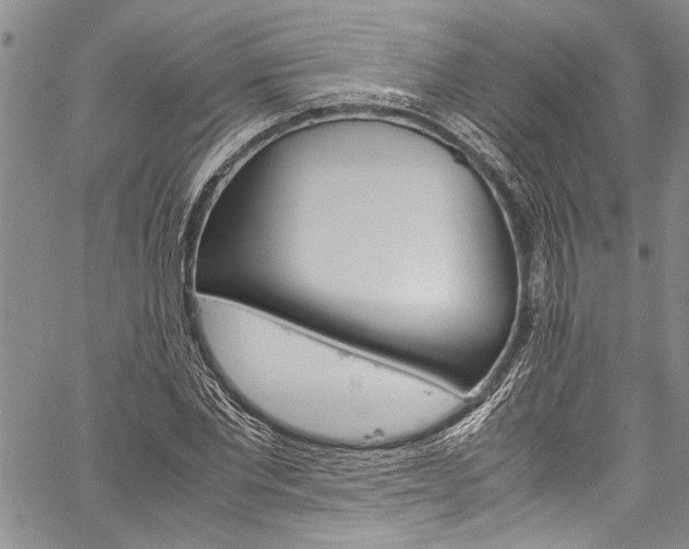 X0000060250877200510280936