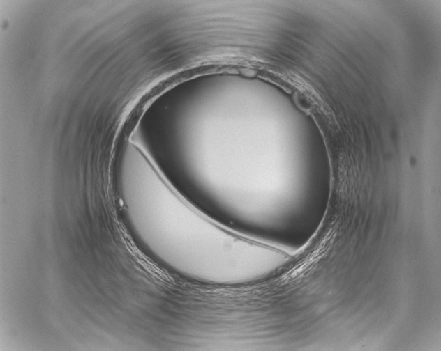 X0000060250880200510280936