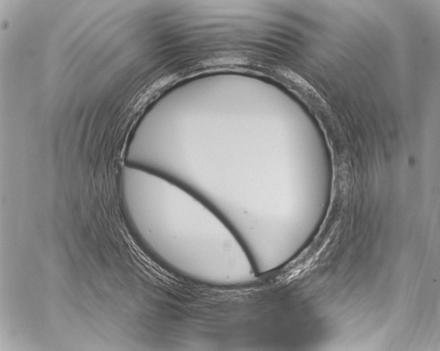 X0000060250929200510280934