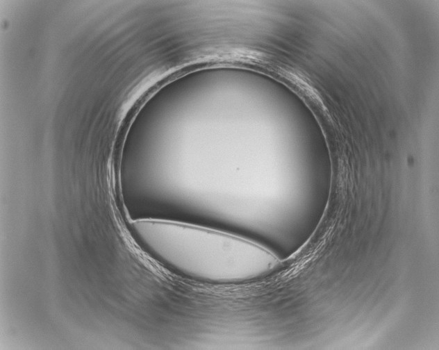 X0000060250936200510280935