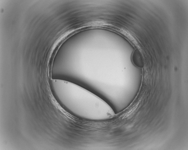 X0000060250939200510280935
