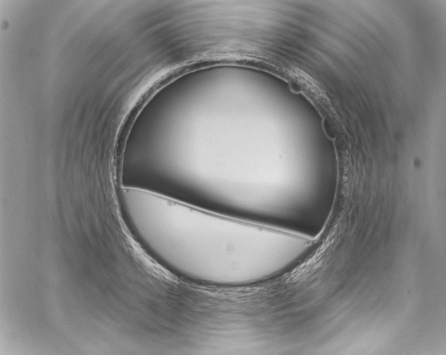 X0000060250942200510280935