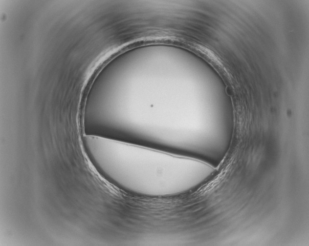 X0000060250943200510280935