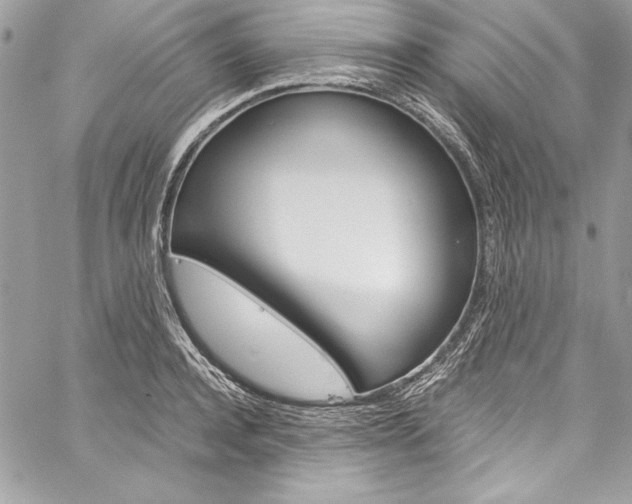 X0000060250944200510280935