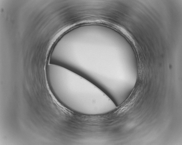 X0000060250951200510280935