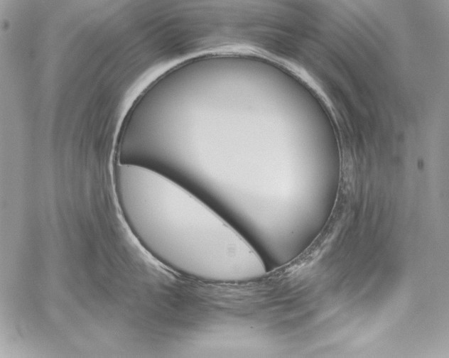 X0000060250959200510280935