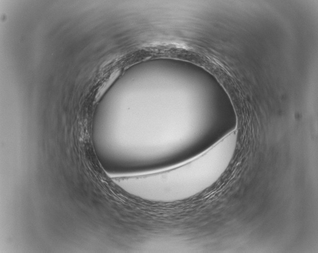 X0000060250965200510280934
