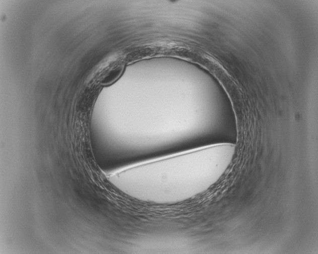 X0000060250967200510280934