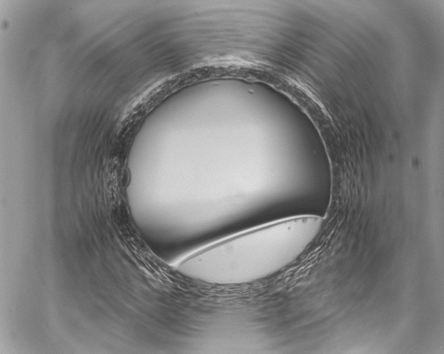 X0000060250968200510280934