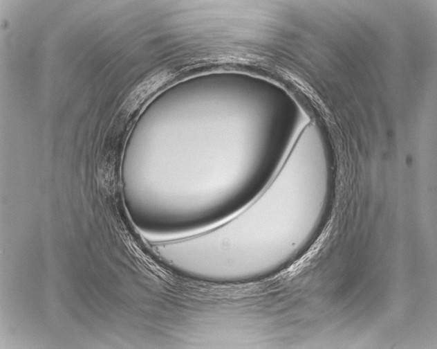 X0000060250977200510280934