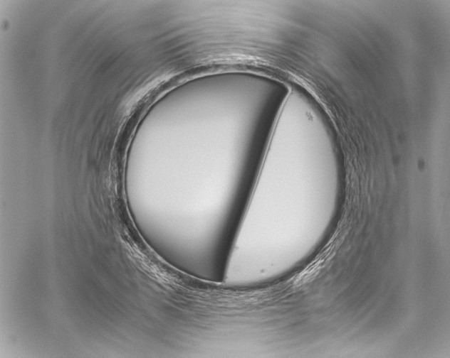 X0000060250979200510280934